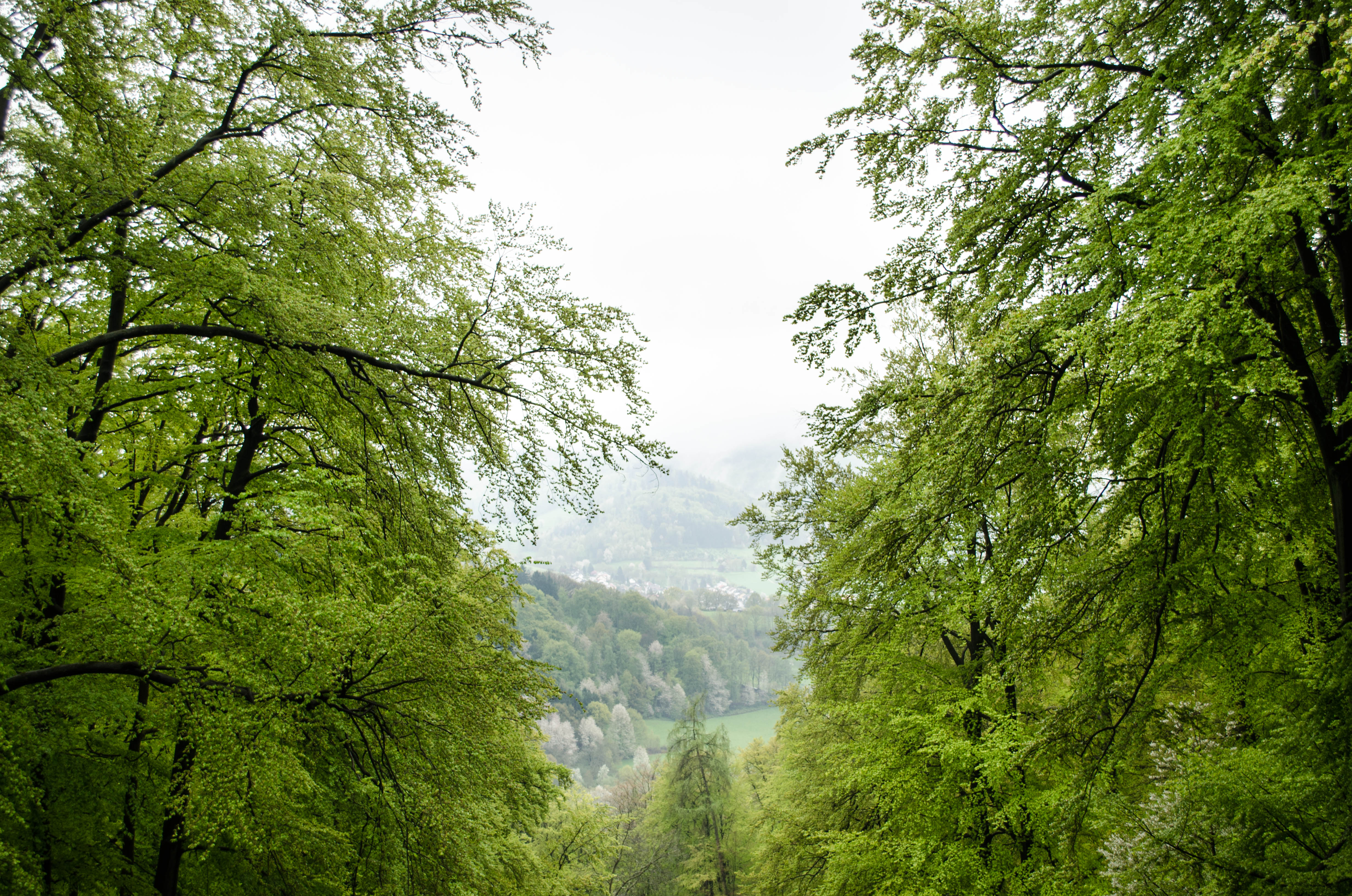 Hike Felsenmeer "Sea of Rocks"