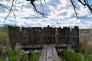 Hike and Birdwatch the Apalachin Marsh