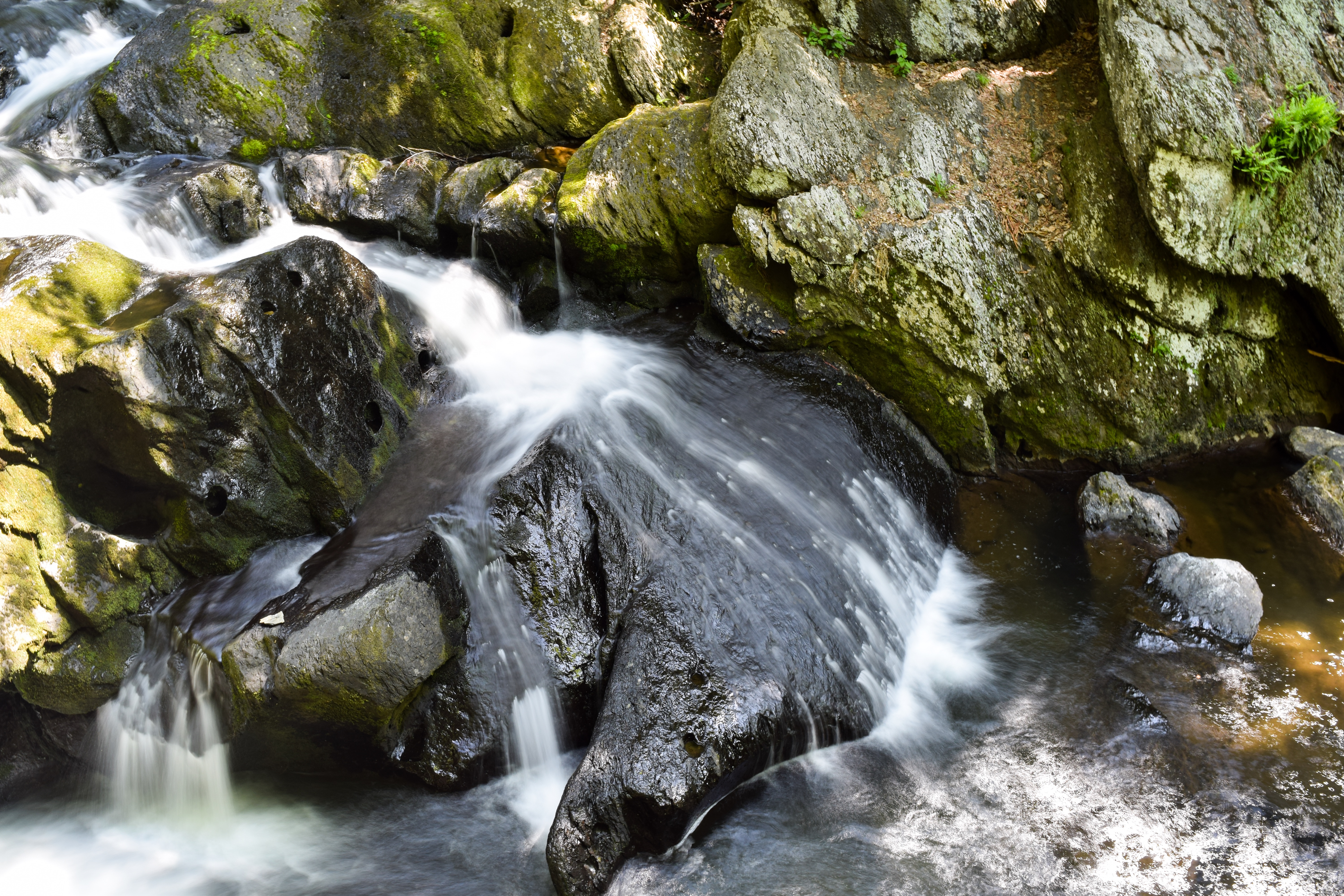 Christman and Falls Trail Loop