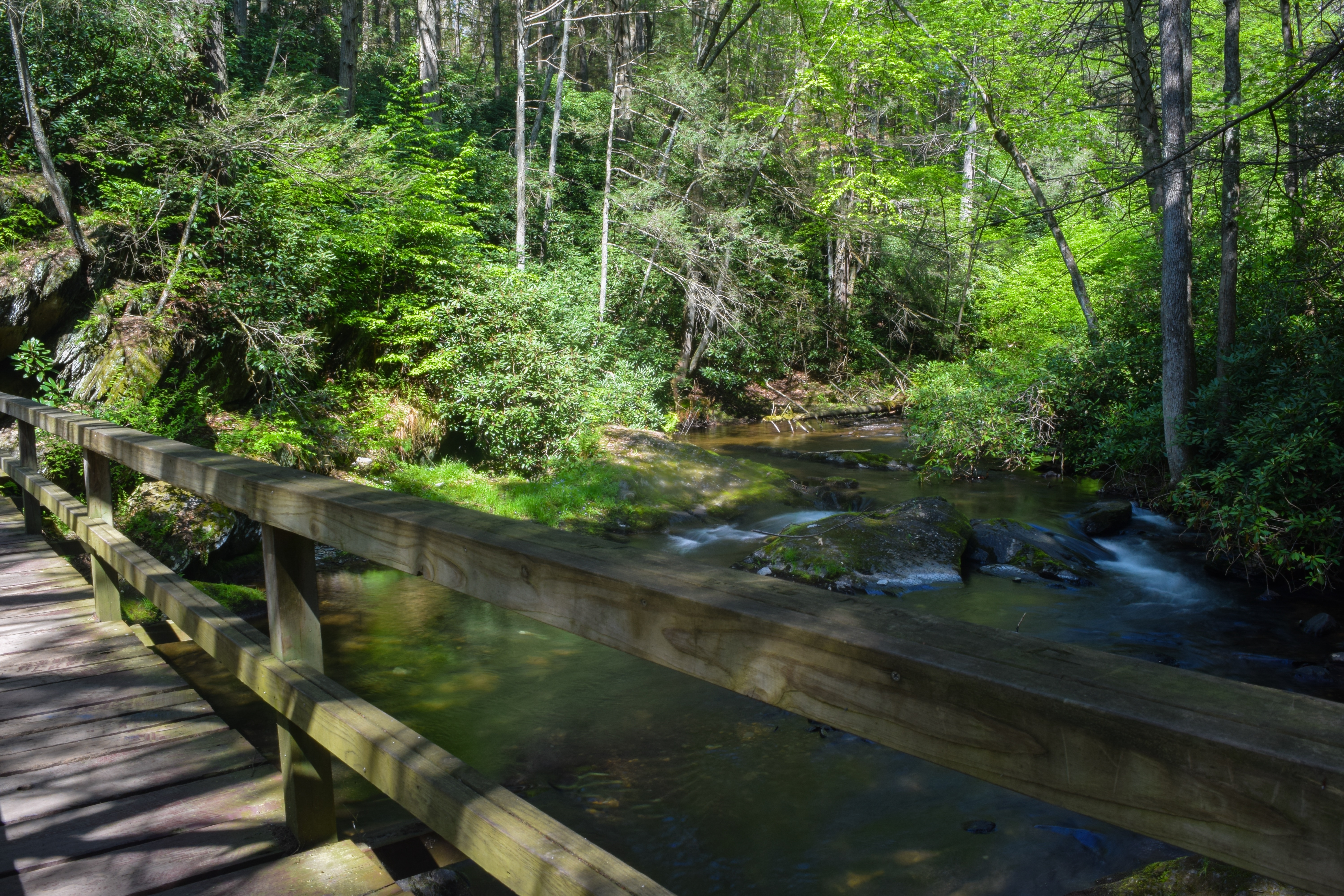 Christman and Falls Trail Loop