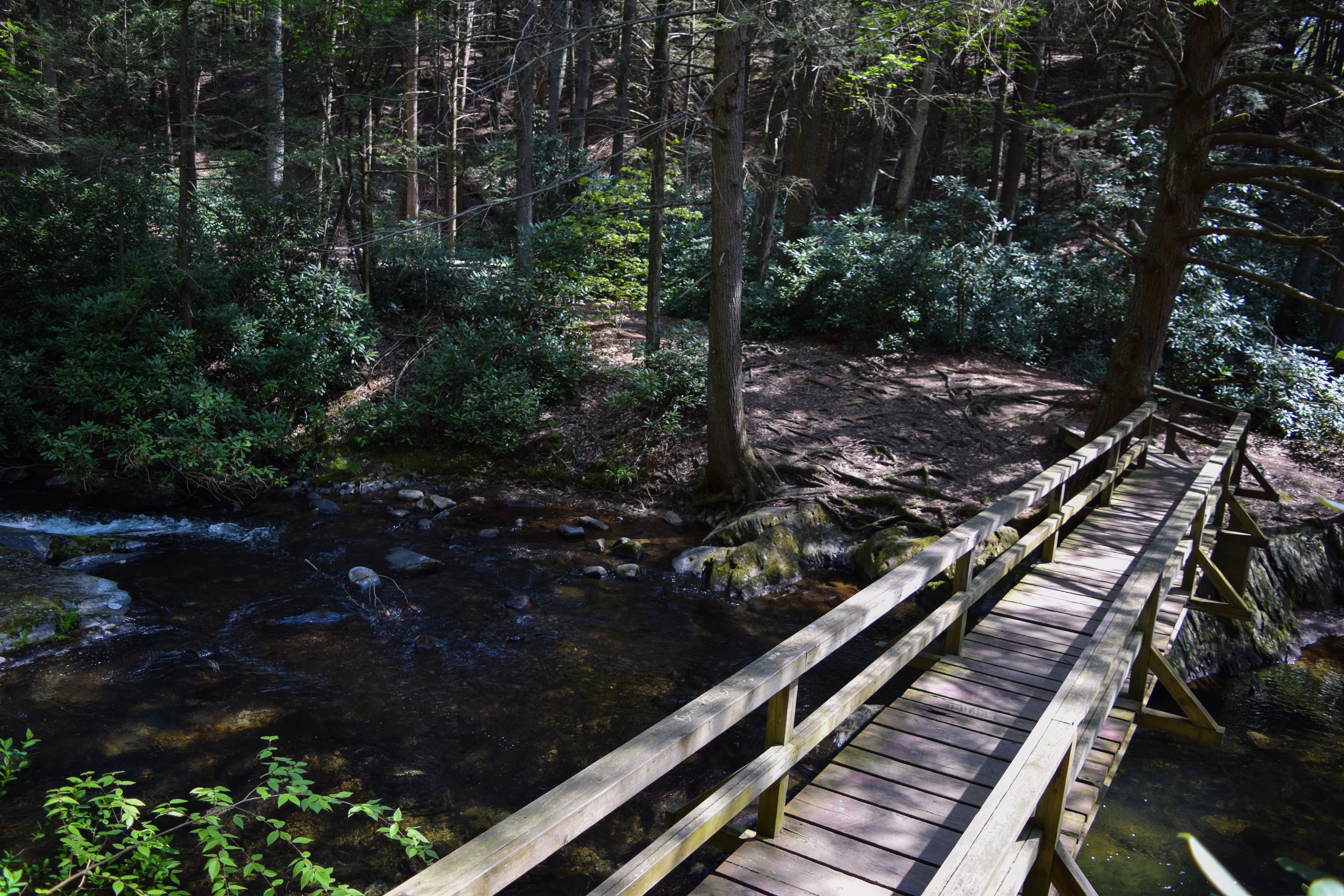 Christman and Falls Trail Loop