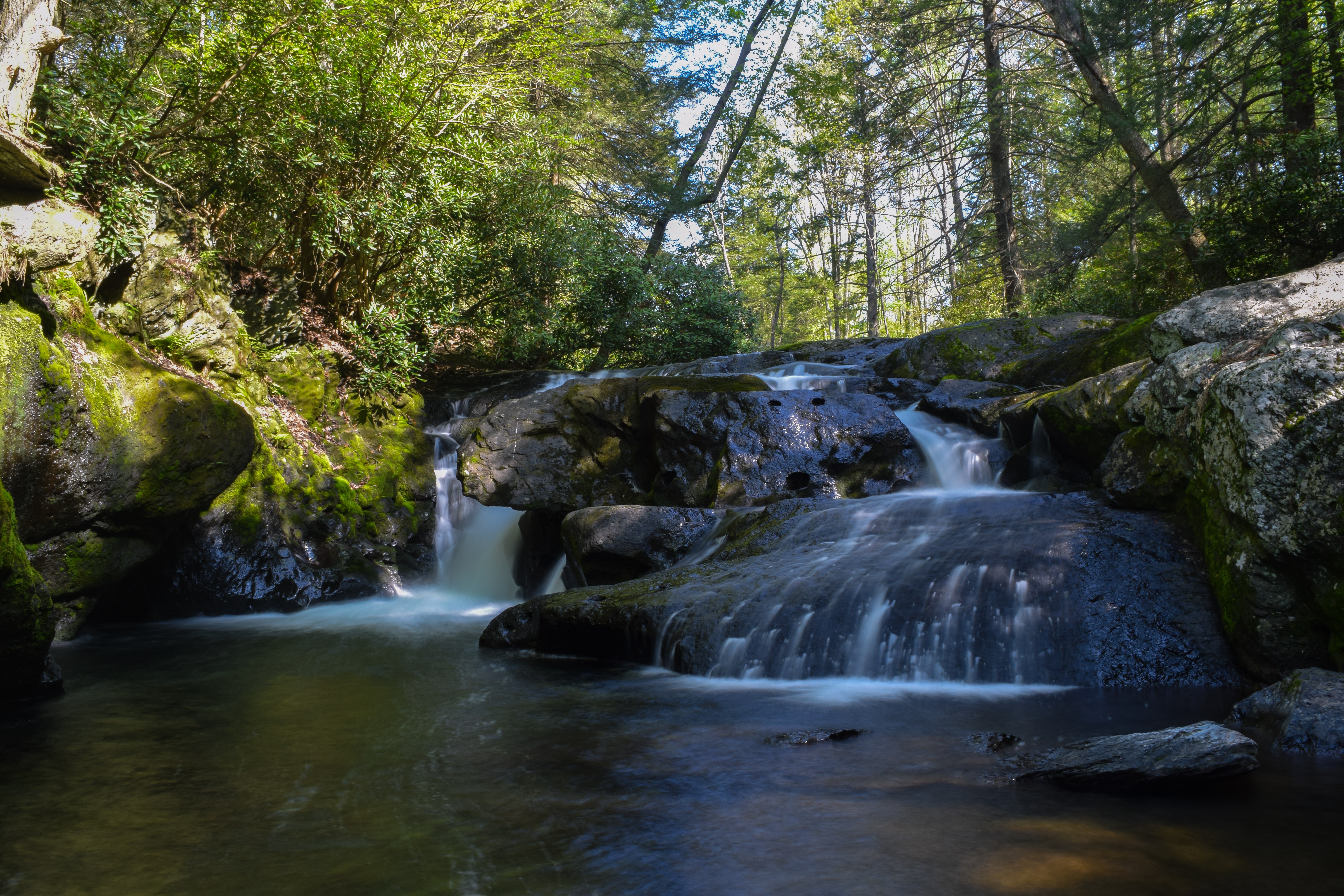 Christman and Falls Trail Loop