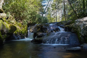 Hike the Falls Trail at Beltzville State Park