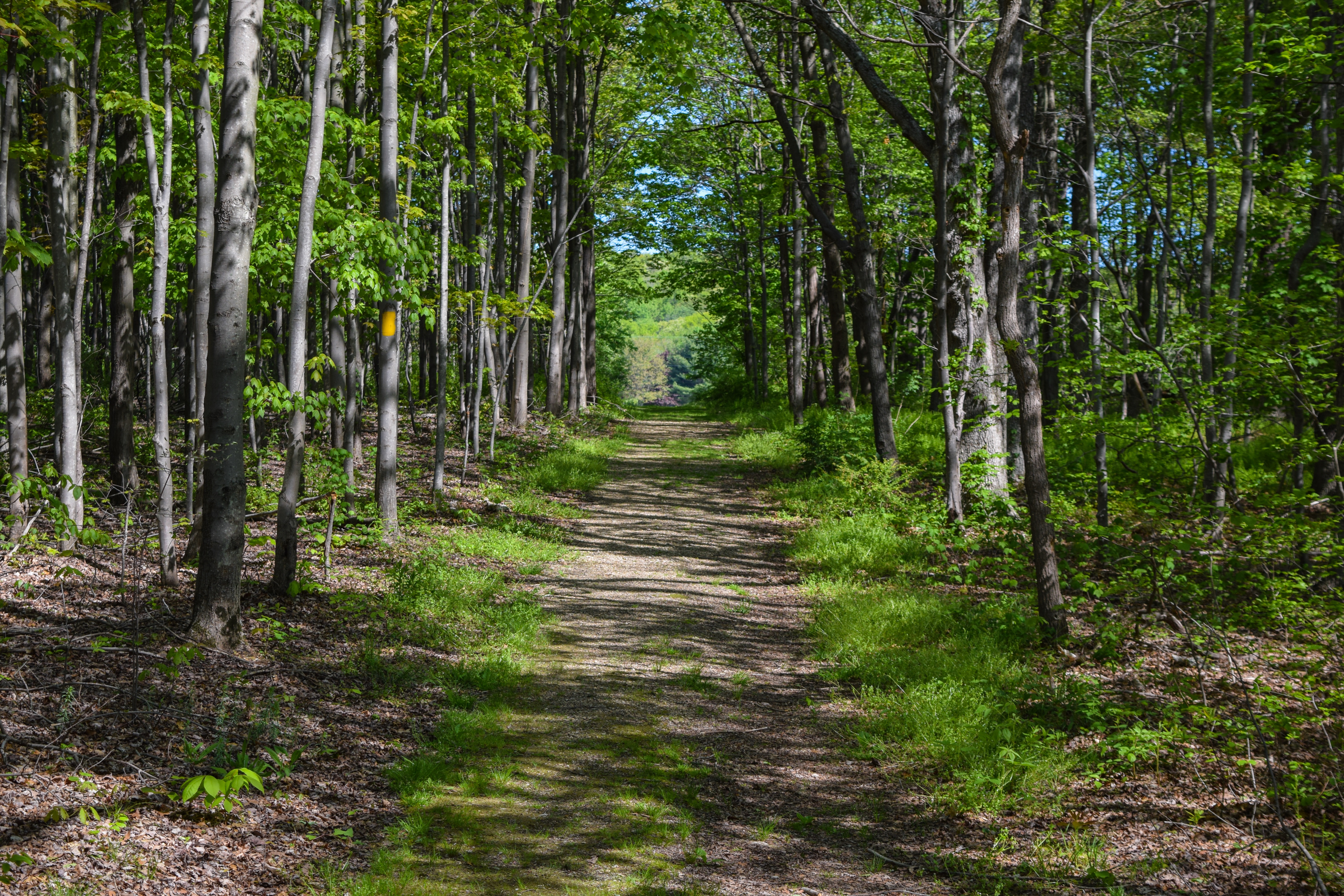 Christman and Falls Trail Loop