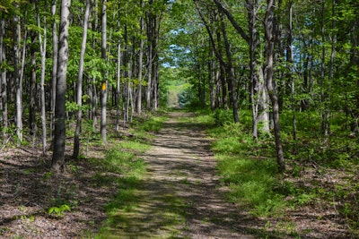 Hike the Falls Trail at Beltzville State Park, Christman Trailhead ...