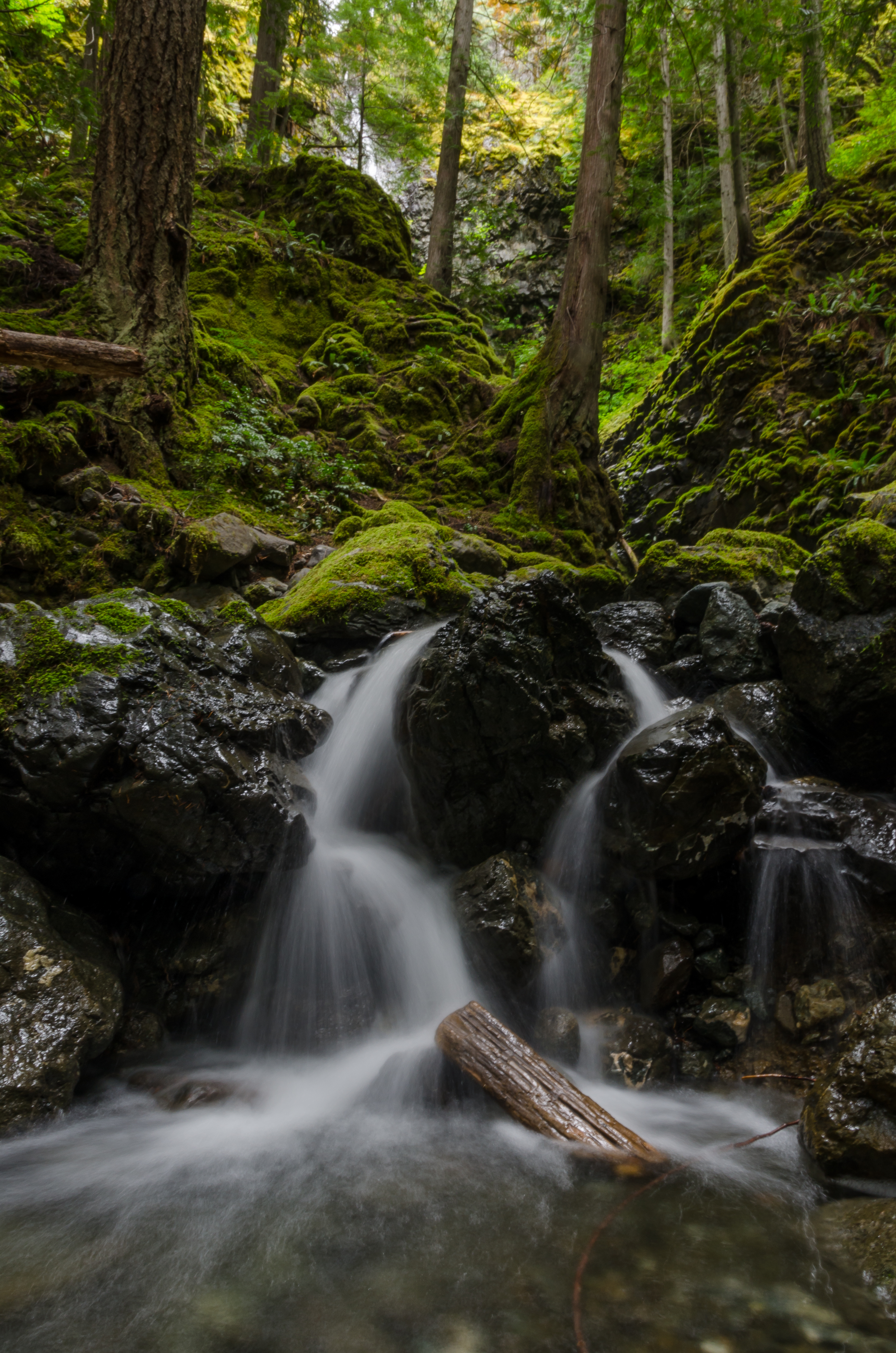 Explore Lupin Falls
