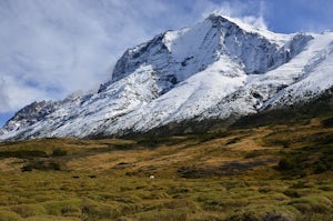 Backpack the W Trek in Torres del Paine National Park