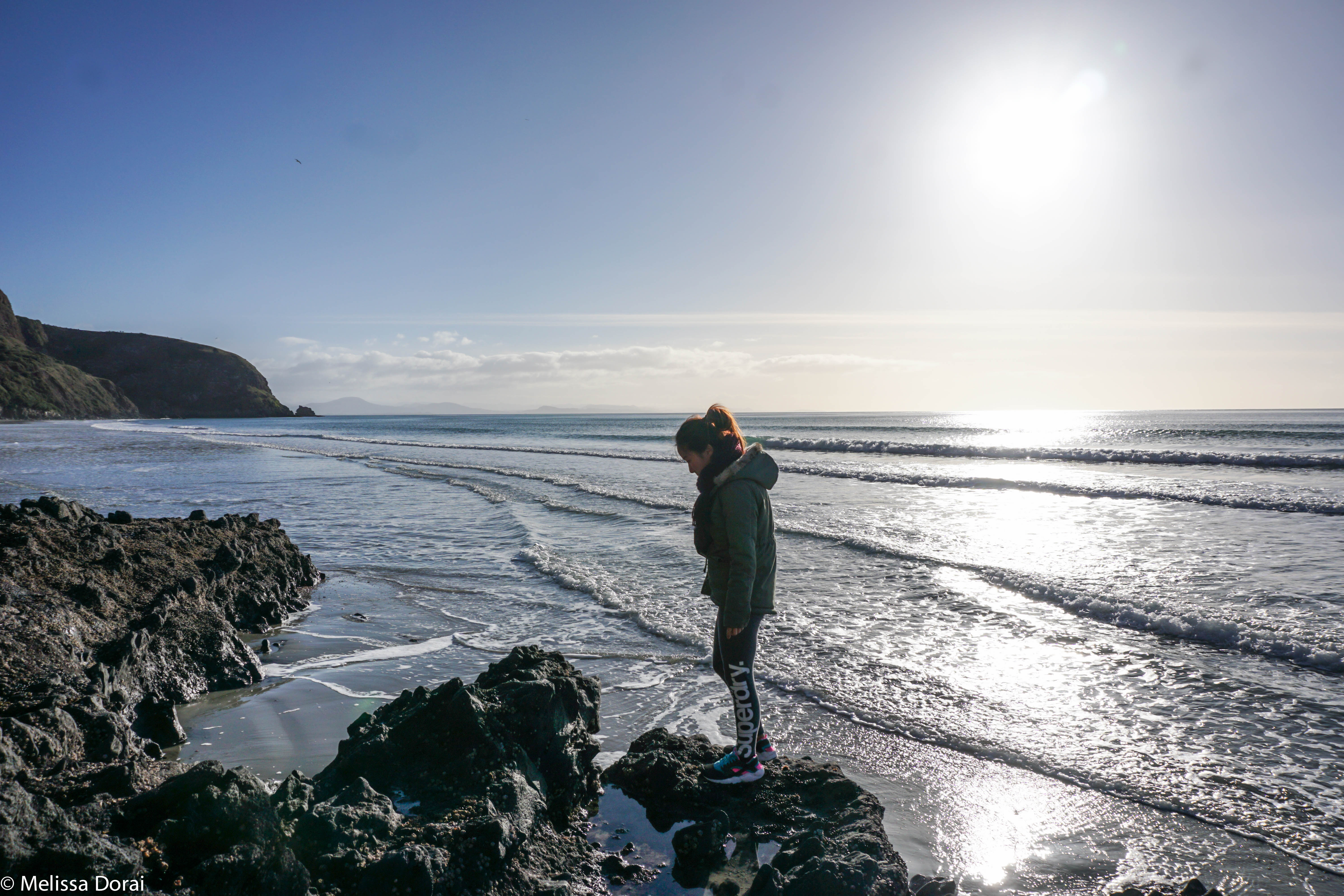 Hunt for Mussels in Aramoana