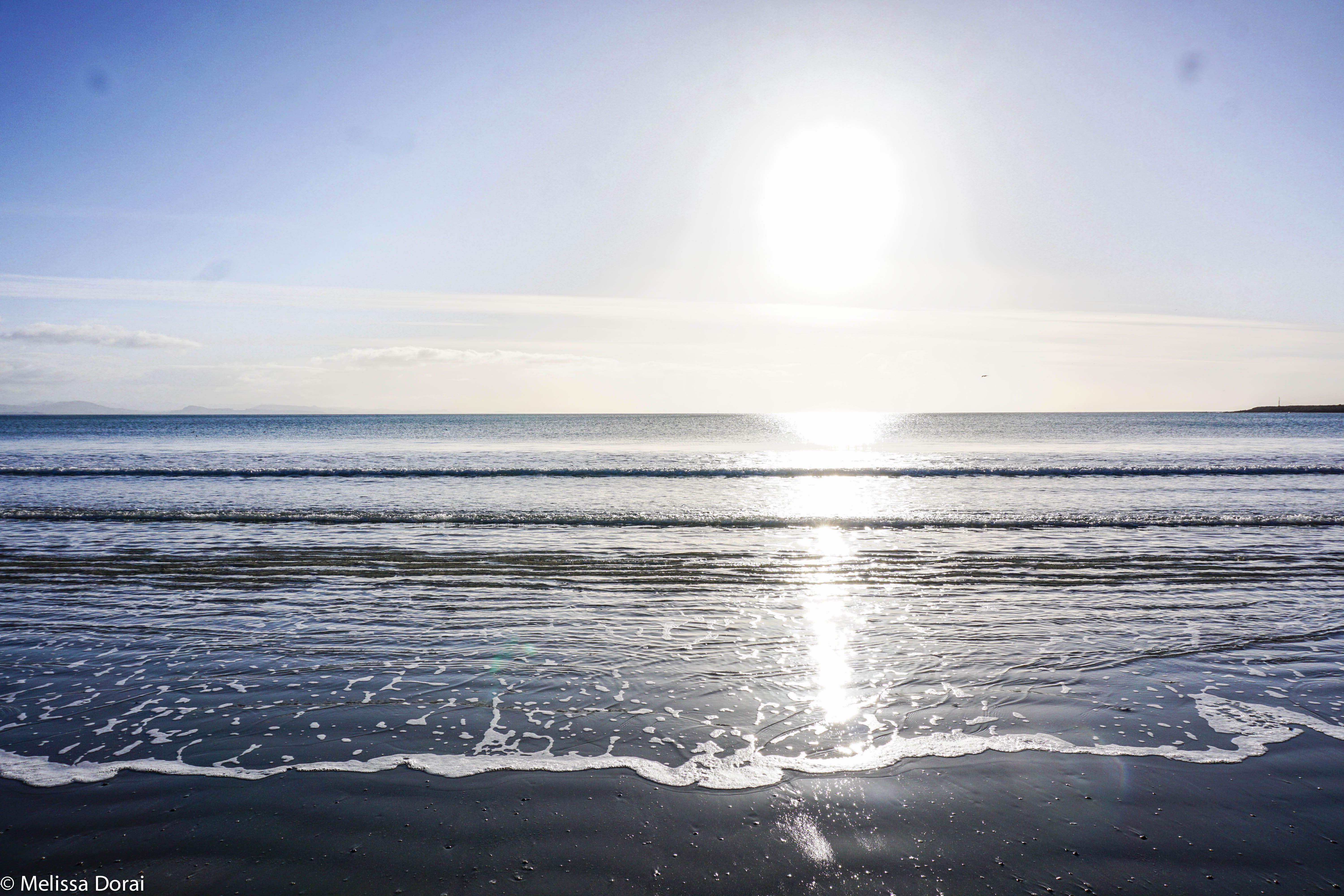 Hunt for Mussels in Aramoana