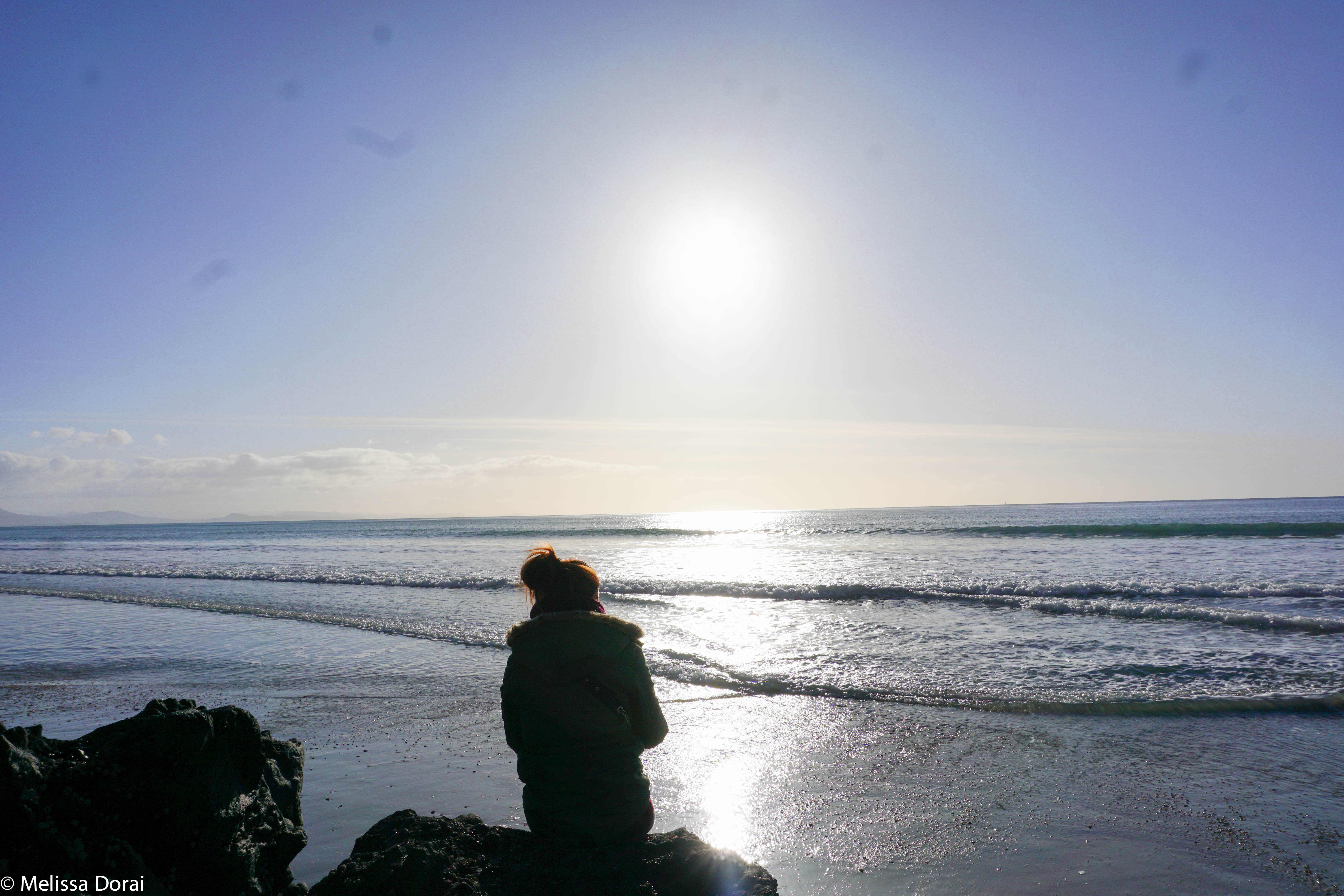 Hunt for Mussels in Aramoana