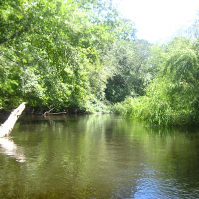 Paddle the Edisto River