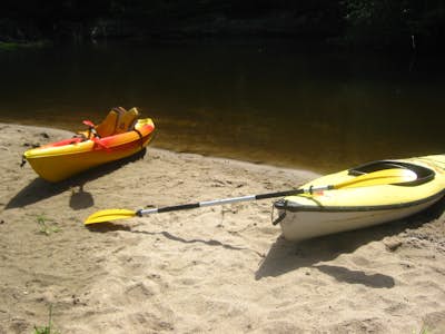 Paddle the Edisto River