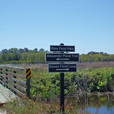 Explore and Photograph Ernest F. Hollings National Wildlife Refuge