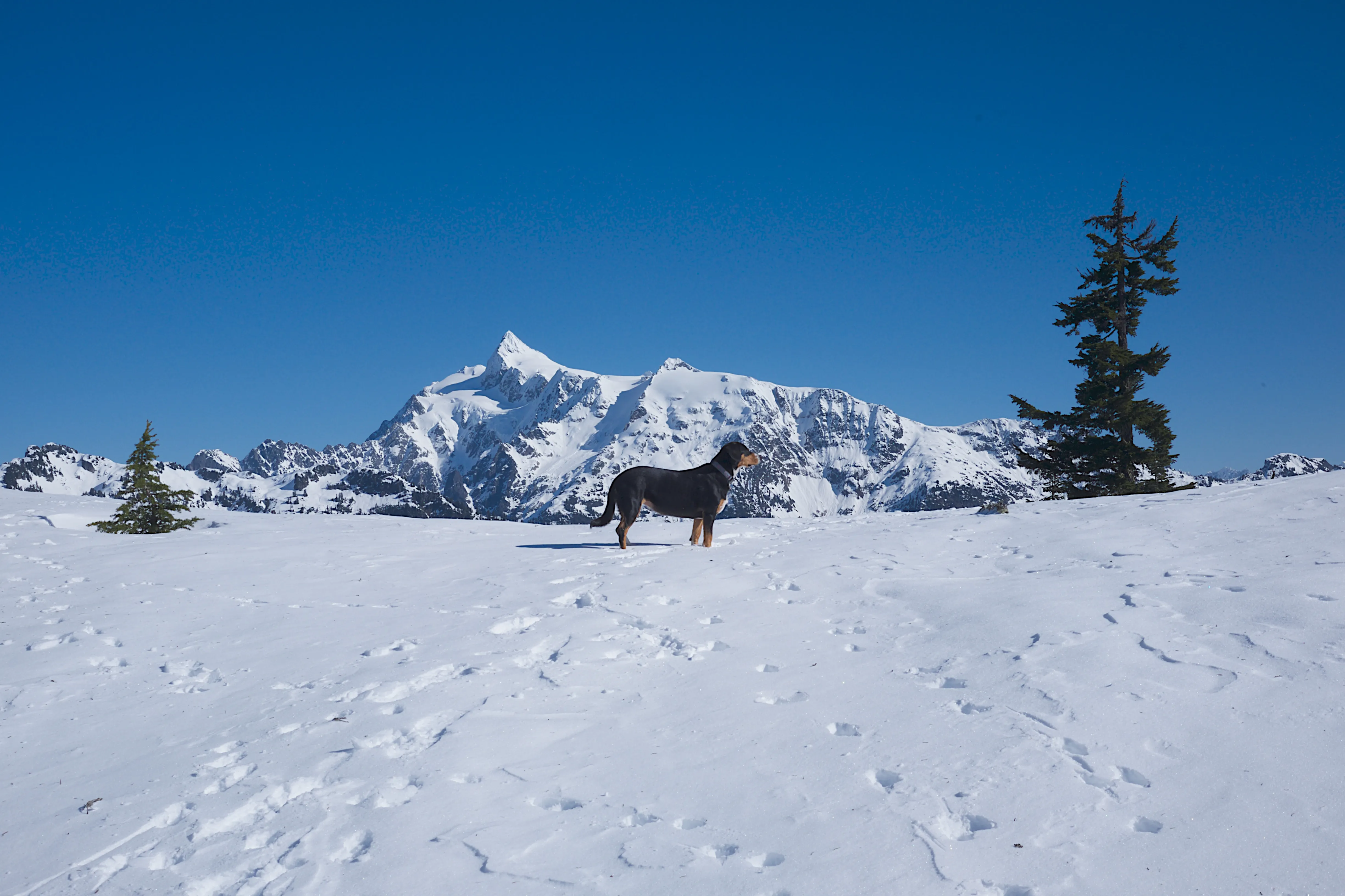 Winter Hike to Rainbow RIdge