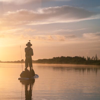 Paddle the St. Johns River from East Orlando