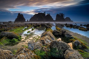 Backpack and Camp at Shi Shi Beach