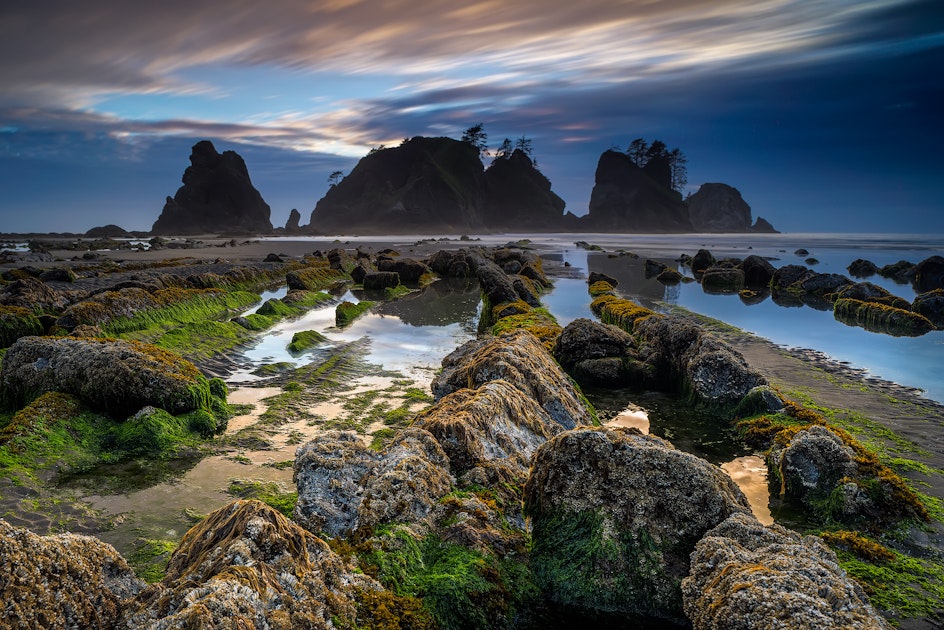 Backpack and Camp at Shi Shi Beach Washington 