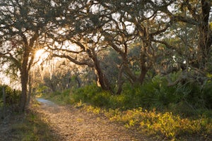 Hike through the Econ River Wilderness Area