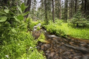 Hike the West Baldy Trail