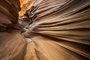 Hike through Mountain Sheep Canyon