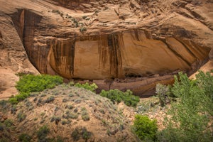 Hike to the Keet Seel Ancestral Puebloan Ruins