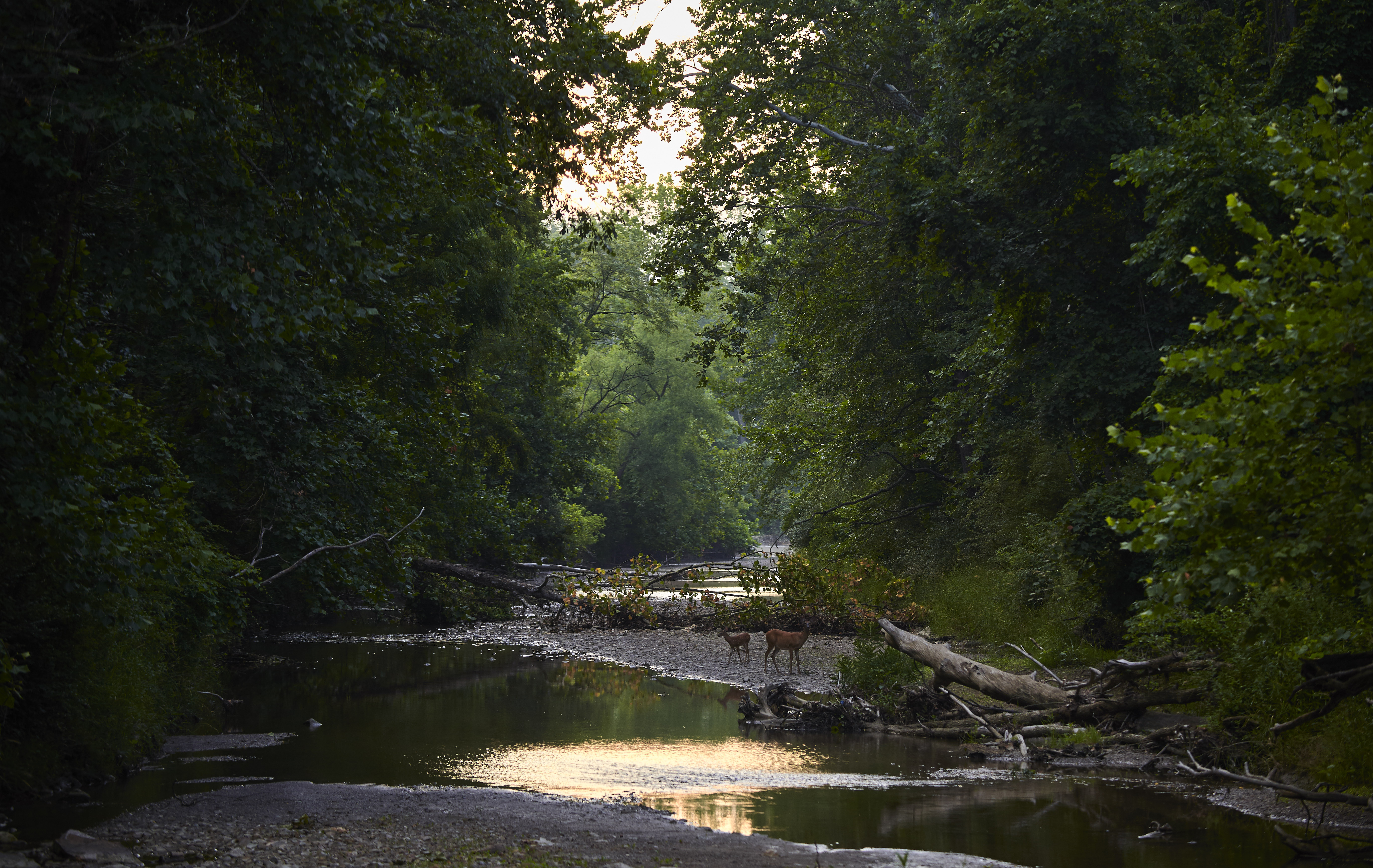 Bike along the Cuyahoga River via Lock 39 Trailhead