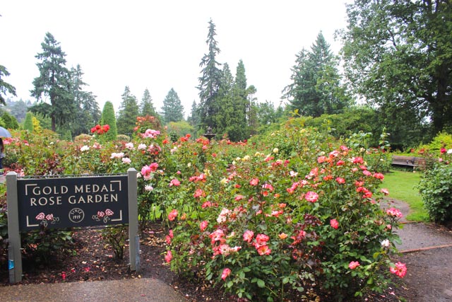 International Rose Test Garden