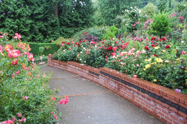 International Rose Test Garden