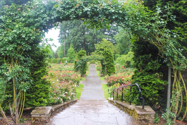 International Rose Test Garden