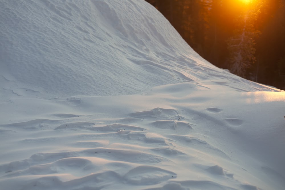 Snowshoe to the Peter Grubb Hut