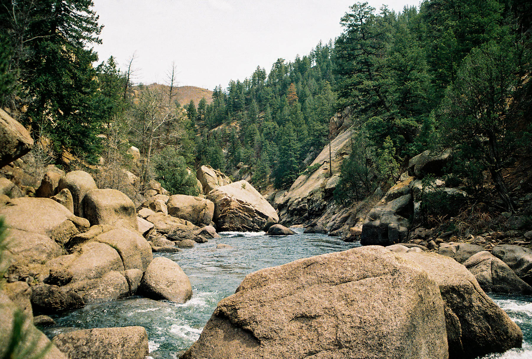Fish Cheeseman Canyon
