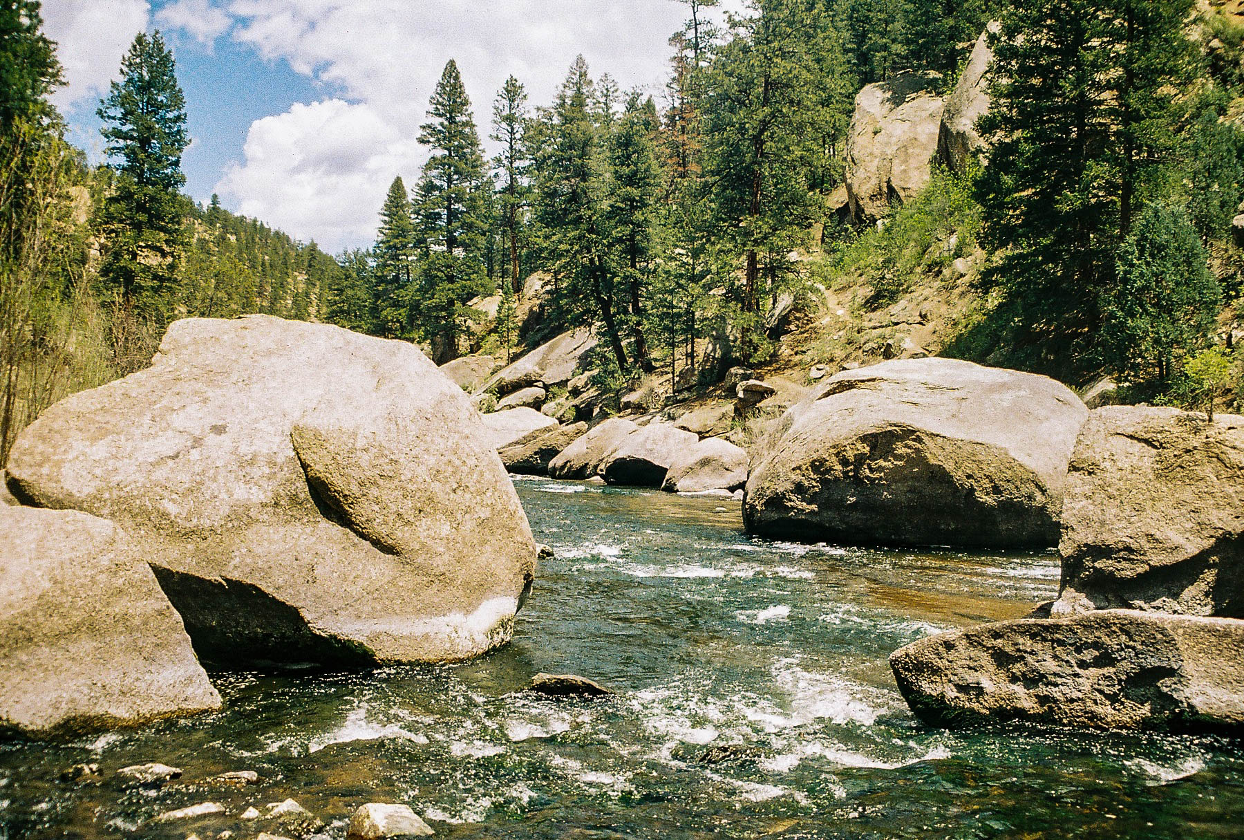 Fish Cheeseman Canyon