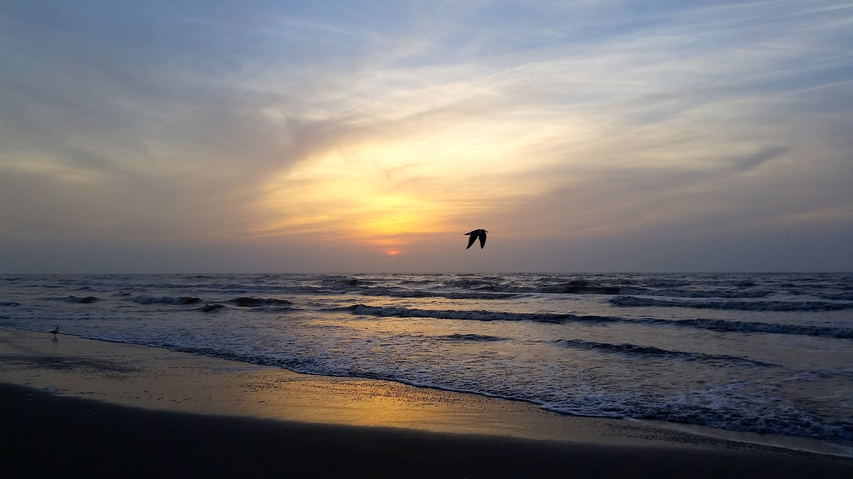 Camp on Padre Island National Seashore's North Beach