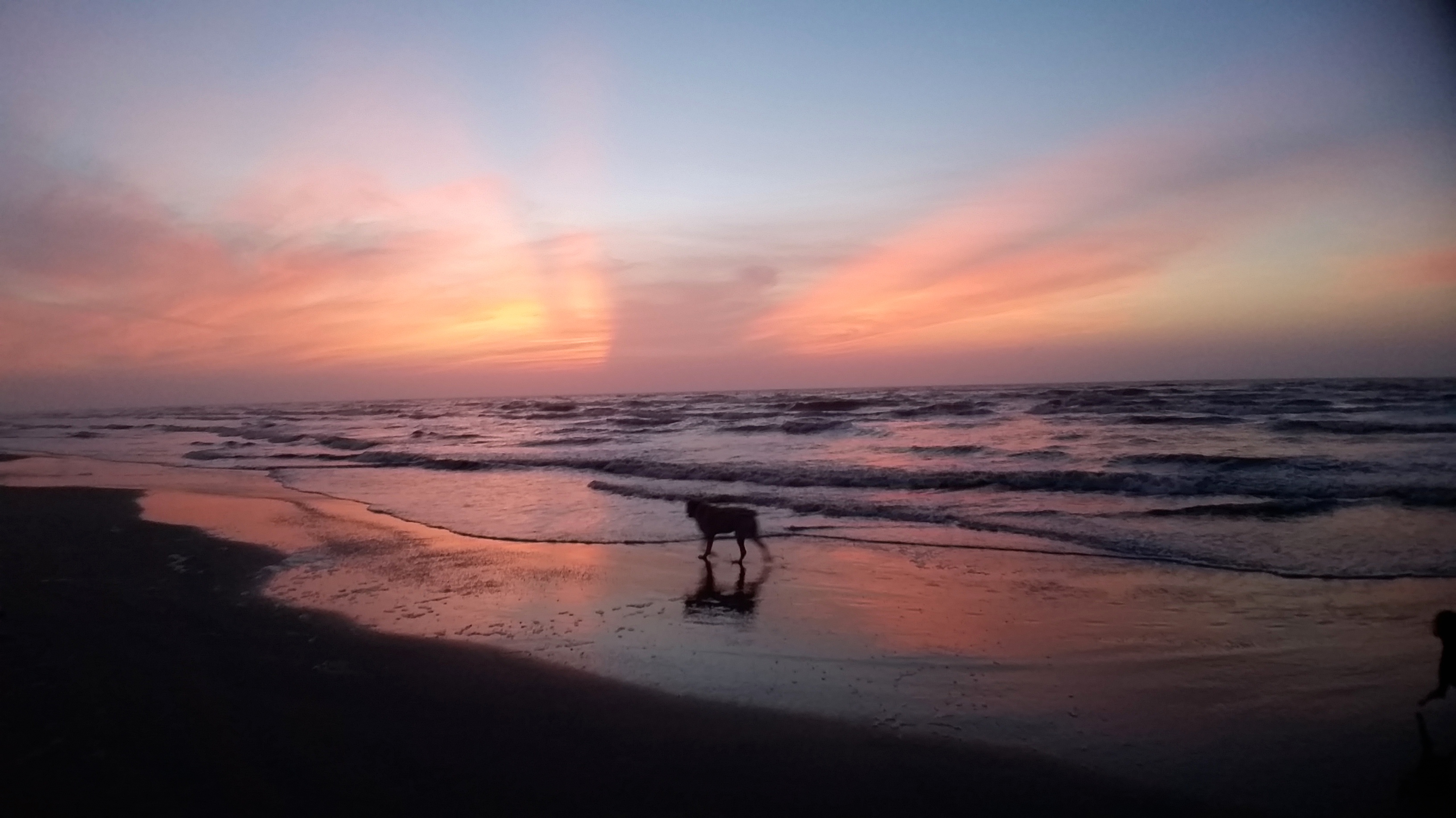Camp on Padre Island National Seashore's North Beach
