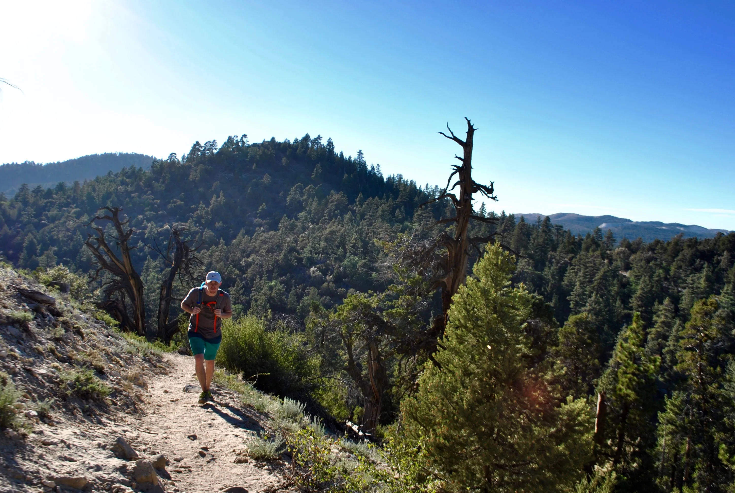 Cougar Crest Trail 