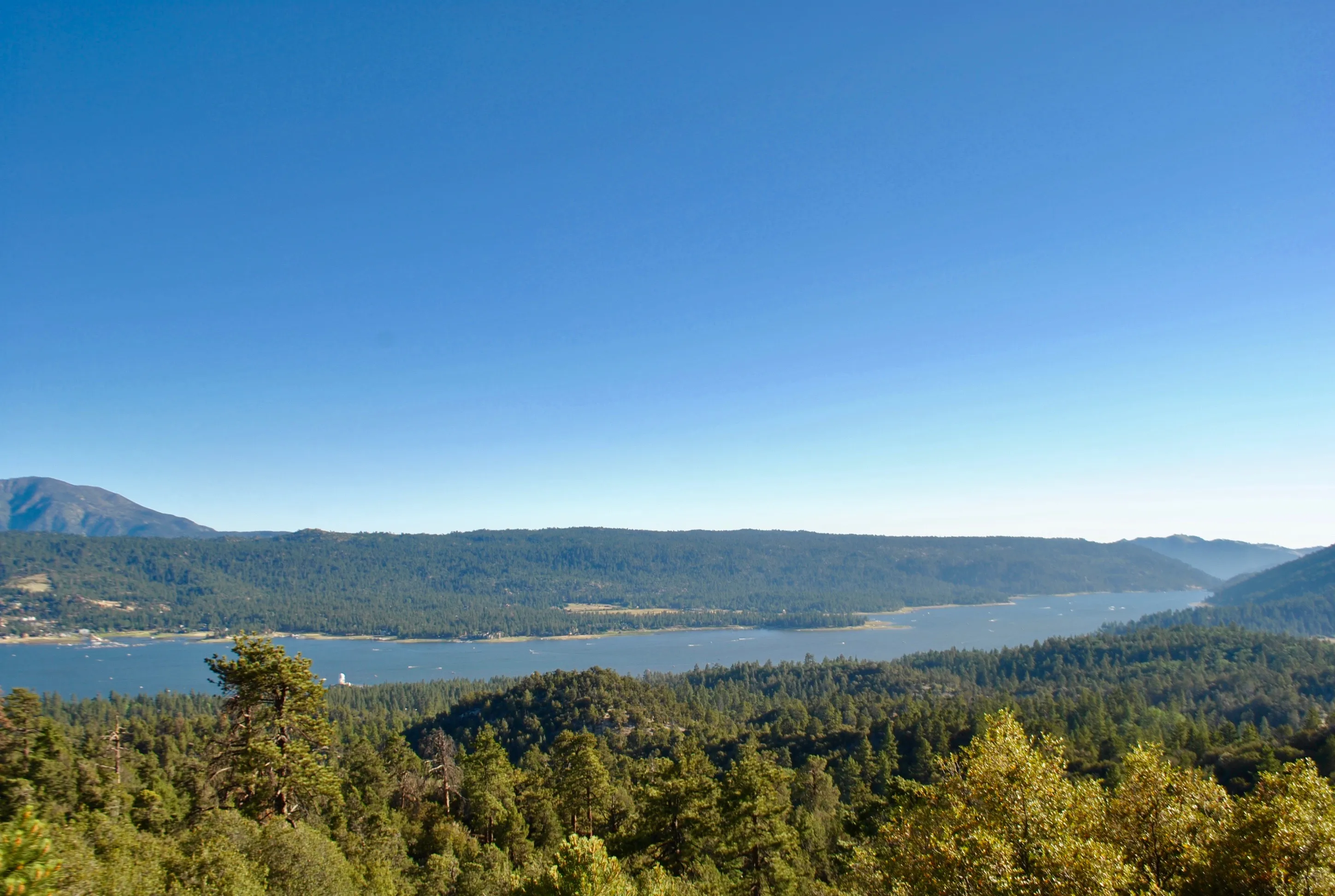 Cougar Crest Trail 