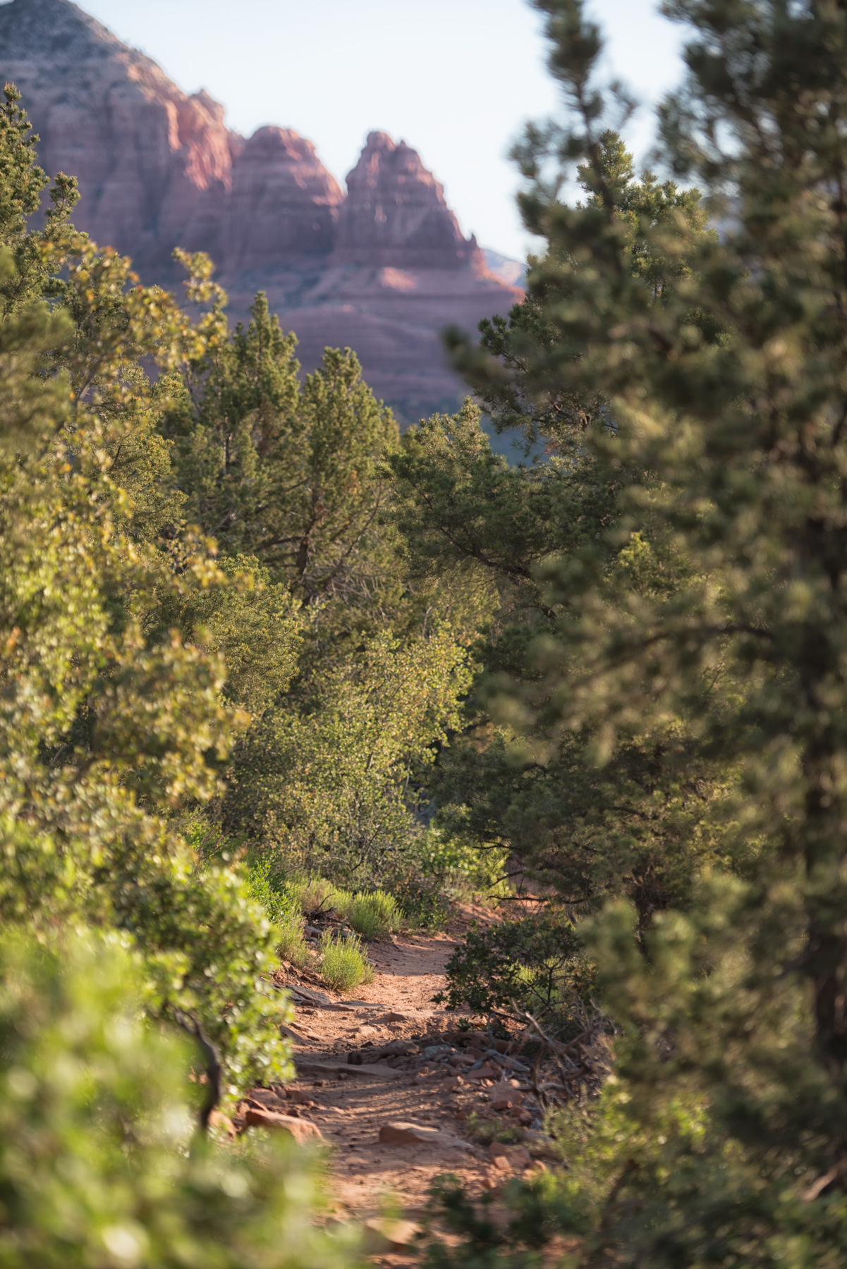 Hiline Trail