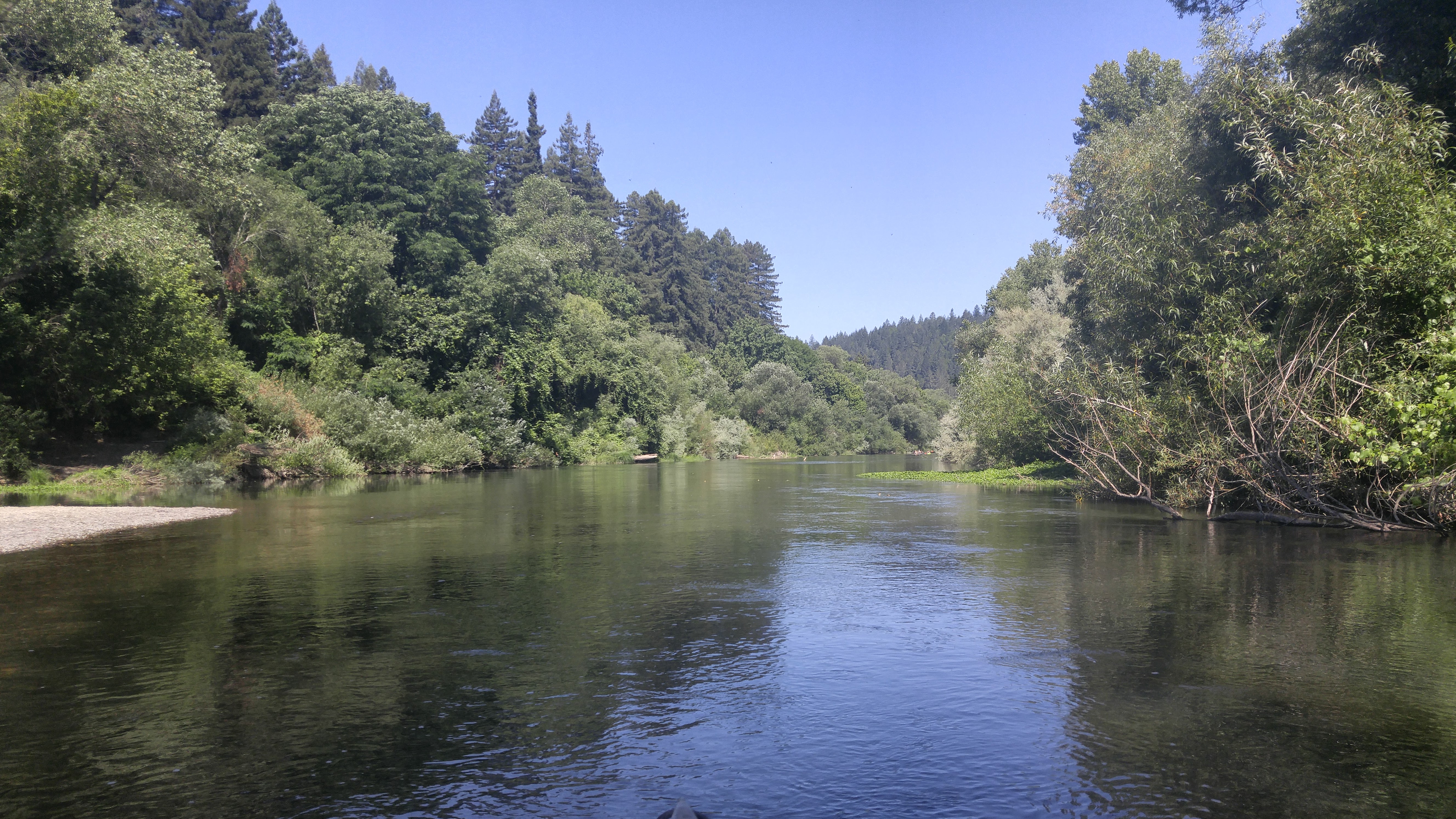 Canoe the Russian River via Forestville