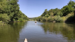 Canoe the Russian River via Forestville