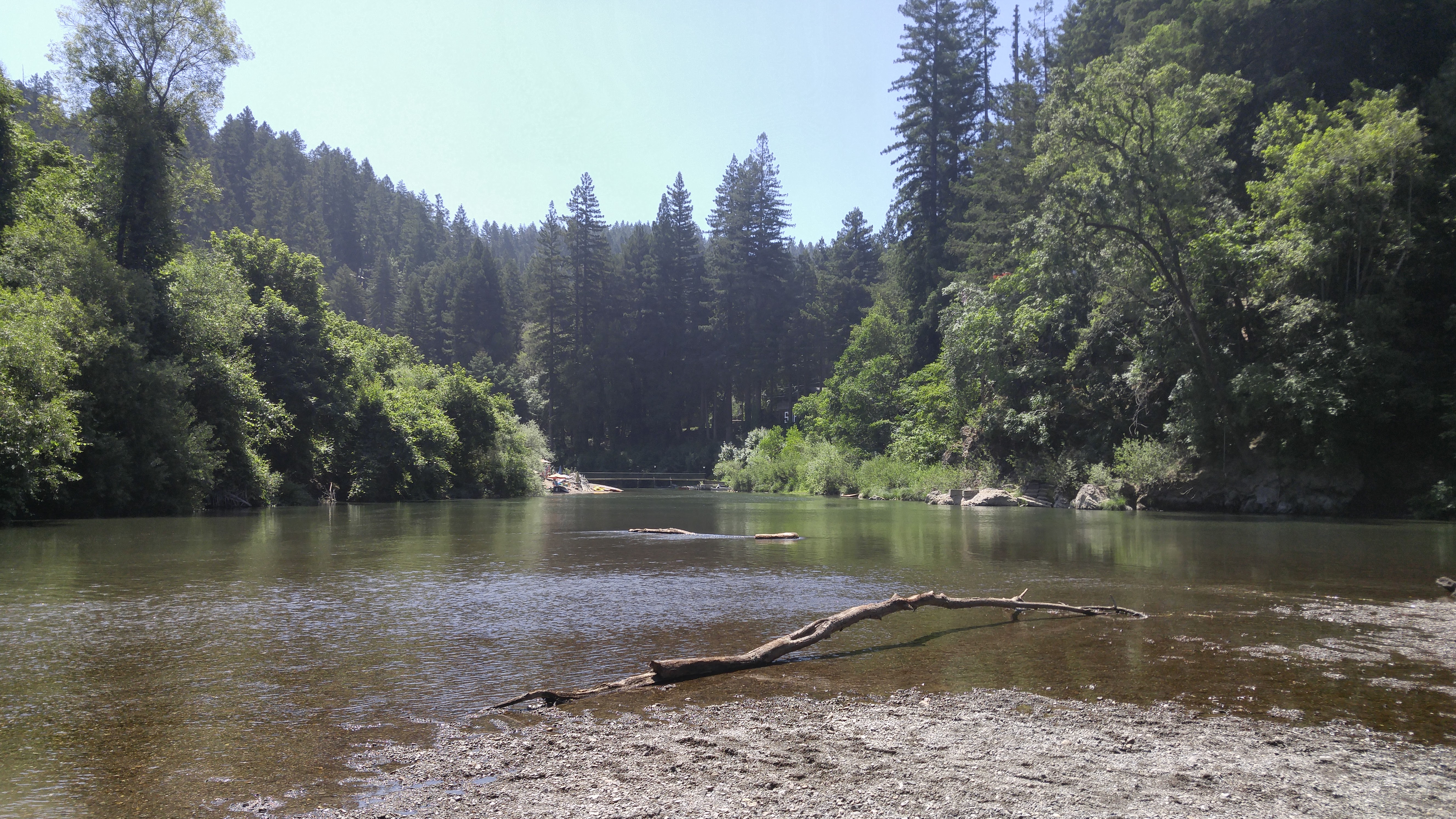 Canoe the Russian River via Forestville