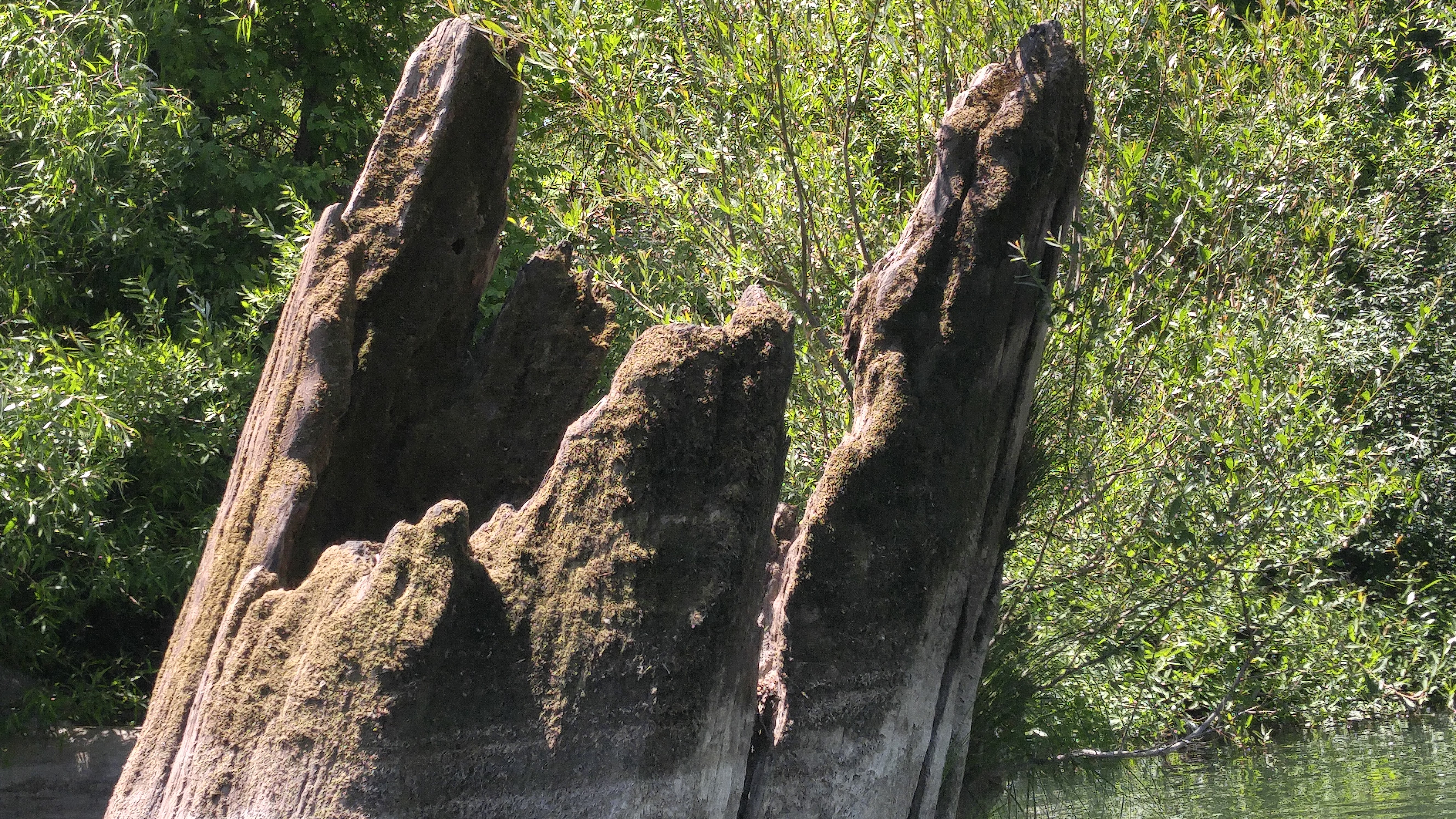 Canoe the Russian River via Forestville