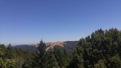 Hike the Bolinas Ridge Trail