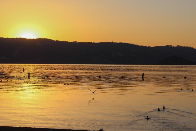 Camp at Clear Lake State Park