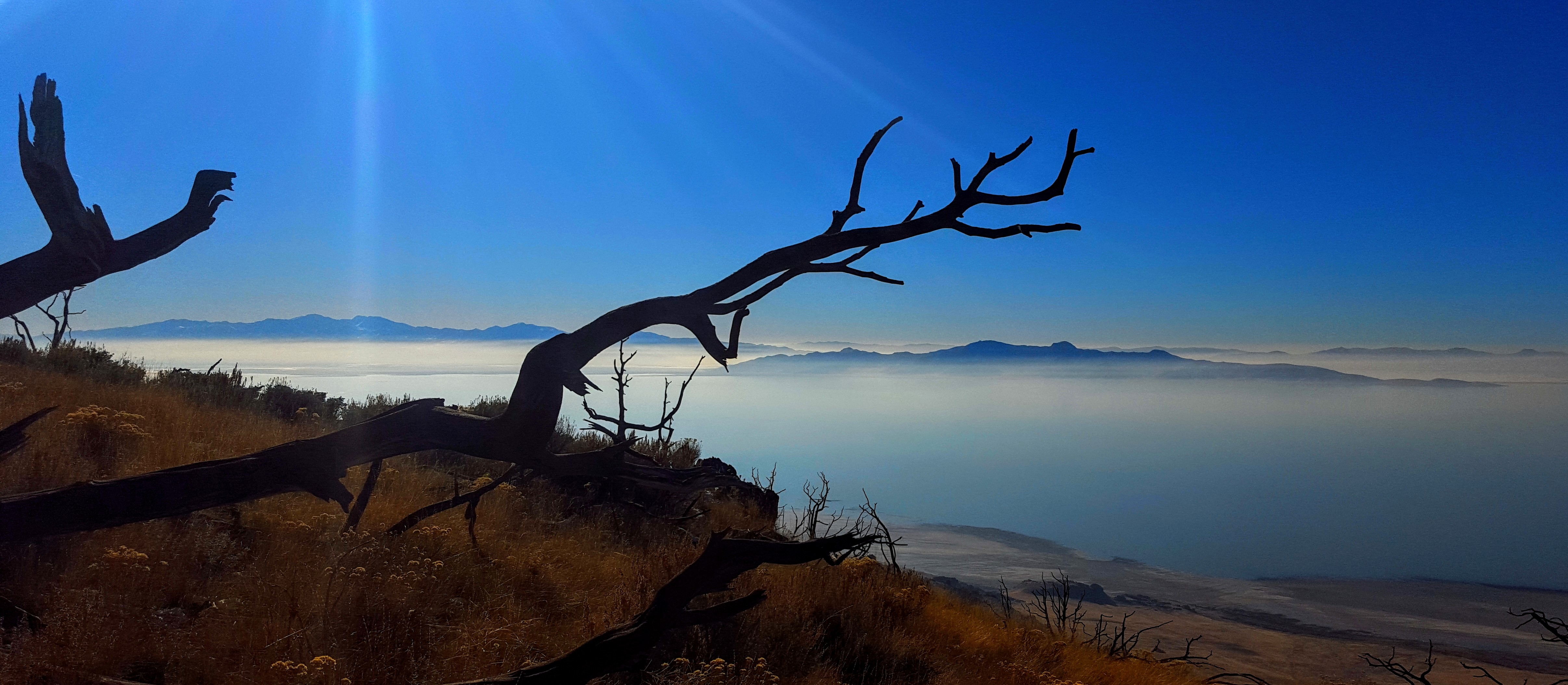 Frary Peak Trail