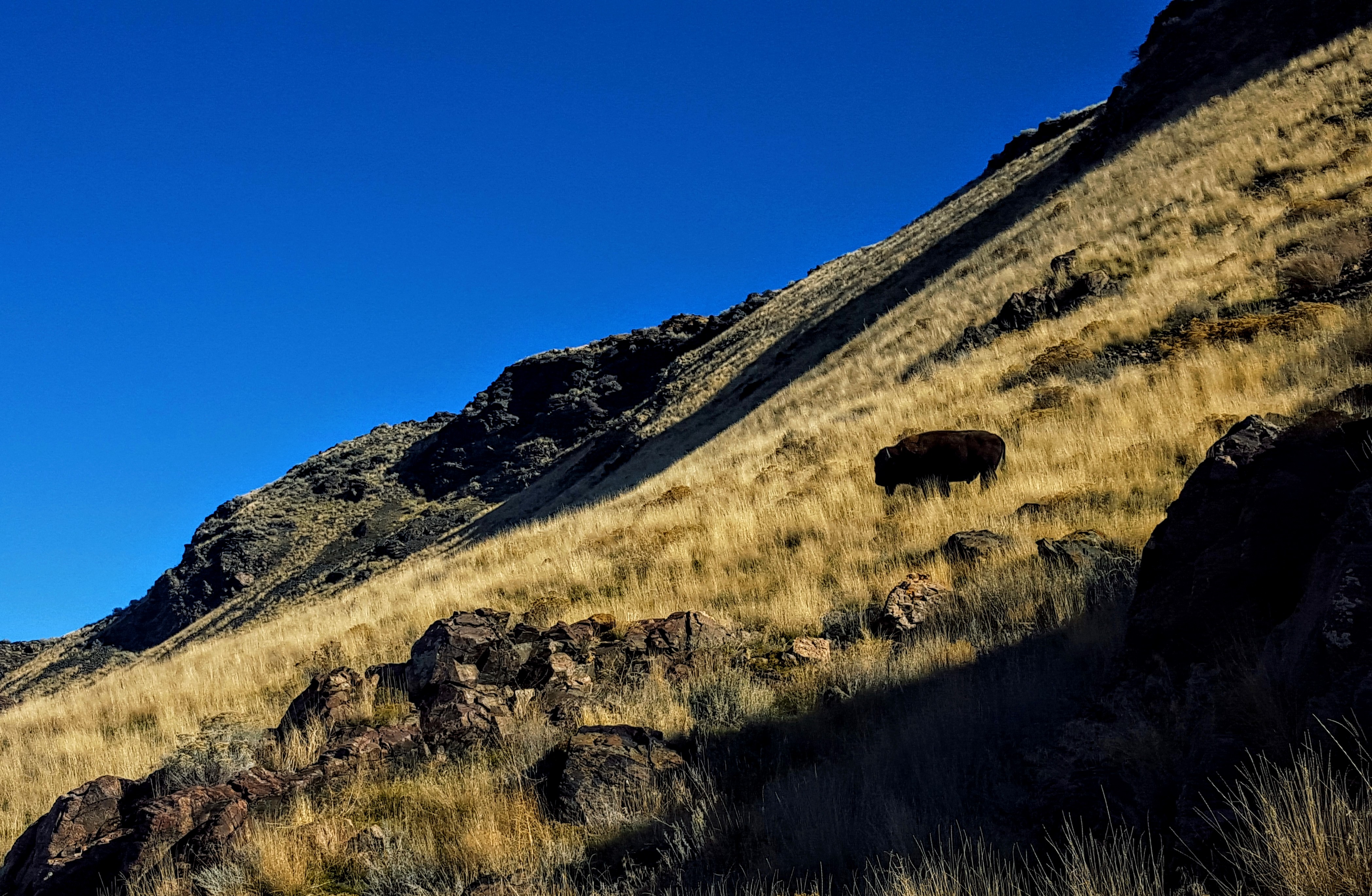 Frary Peak Trail