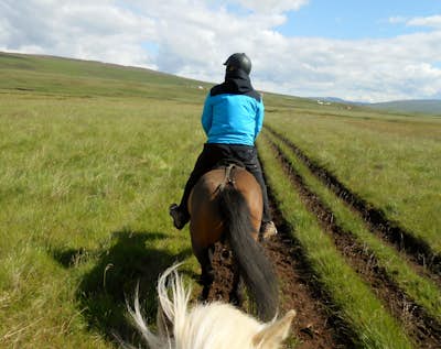 Horseback riding into the Icelandic countryside