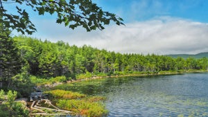 Hike to The Bowl in Acadia NP