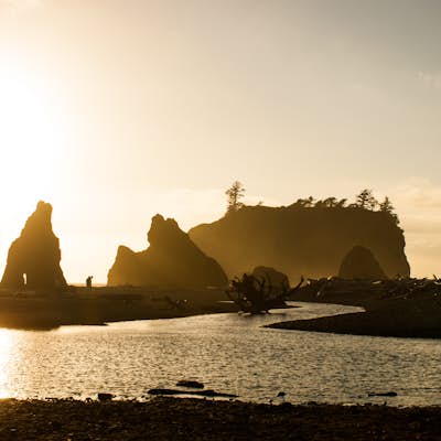 Photograph the Sunset in Kalaloch