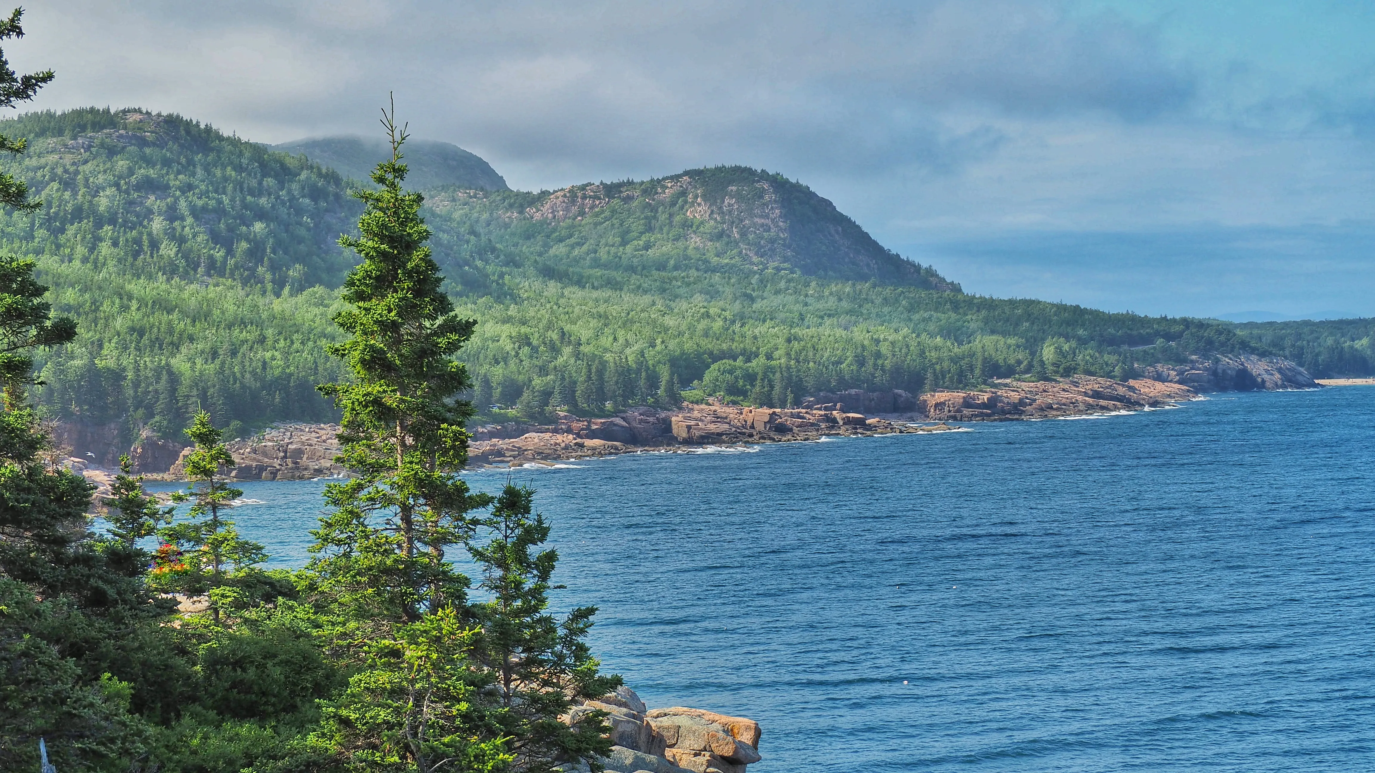 Otter Cliff
