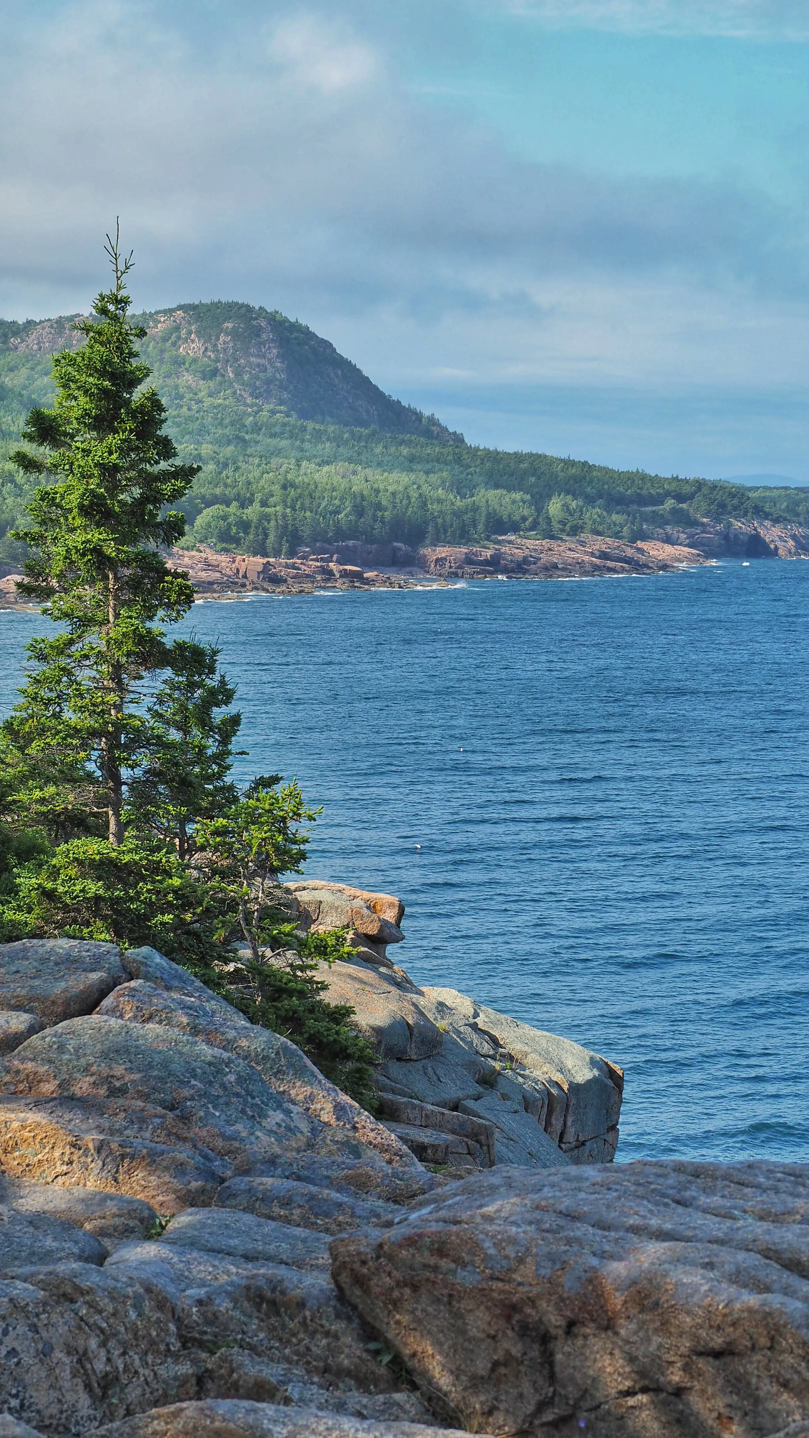 Otter Cliff
